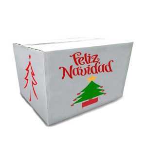 Caja Navideña Modelo B bi-color