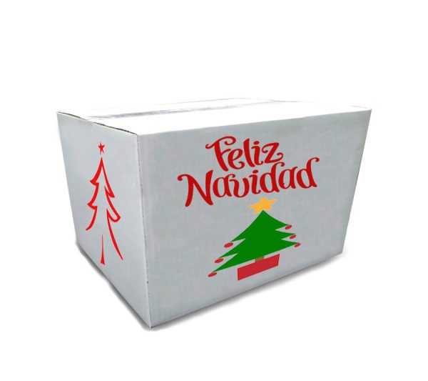 Caja Navideña Modelo B bi-color